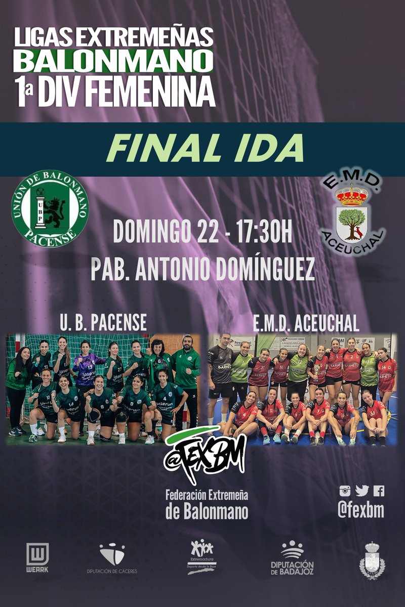 Federación Extremeña de Balonmano tweet media
