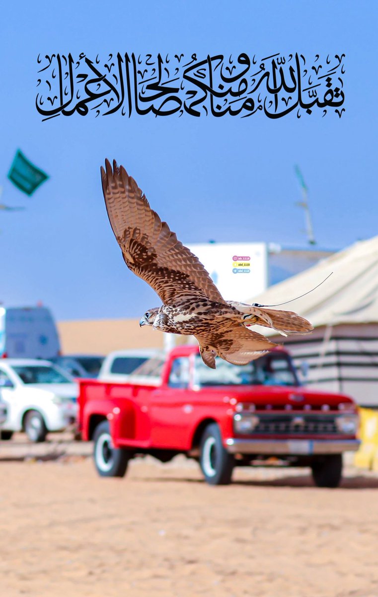 عبدالعزيز المسند tweet media