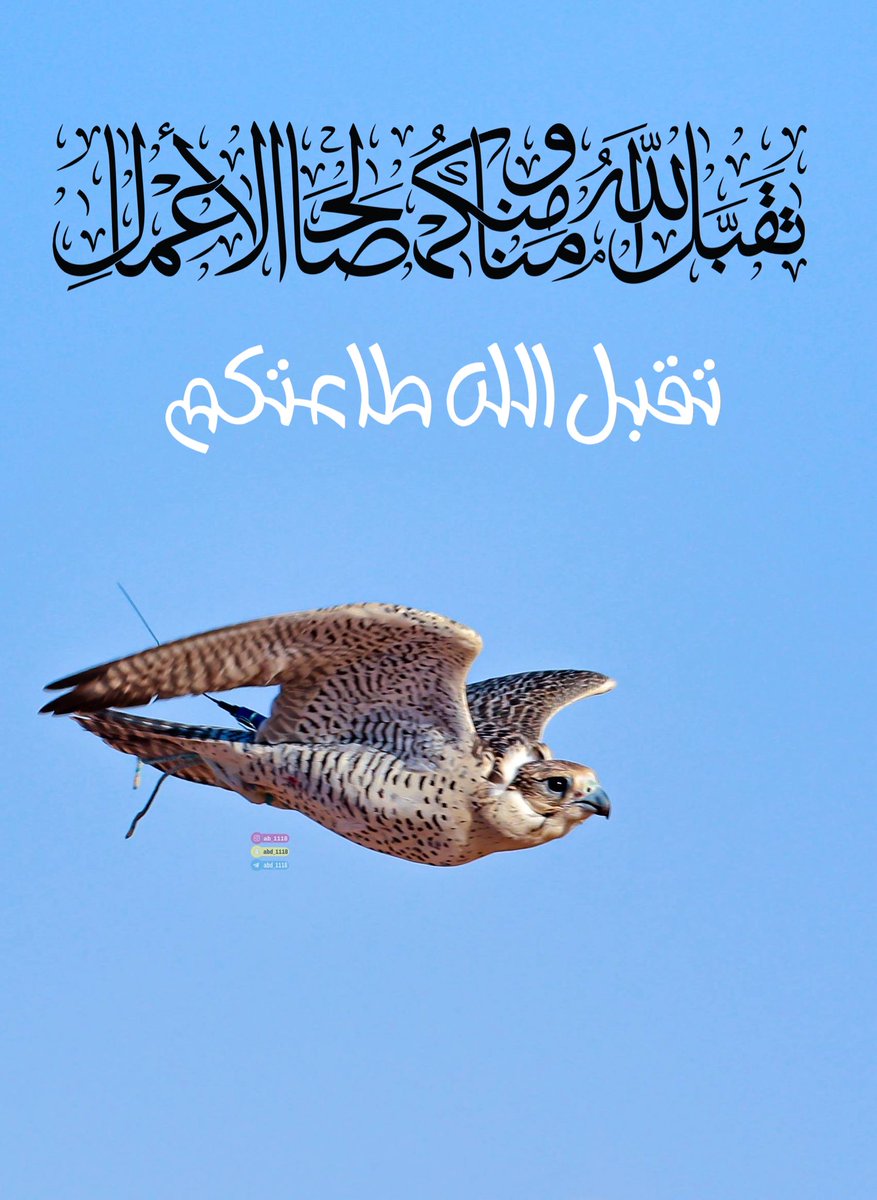 عبدالعزيز المسند tweet media