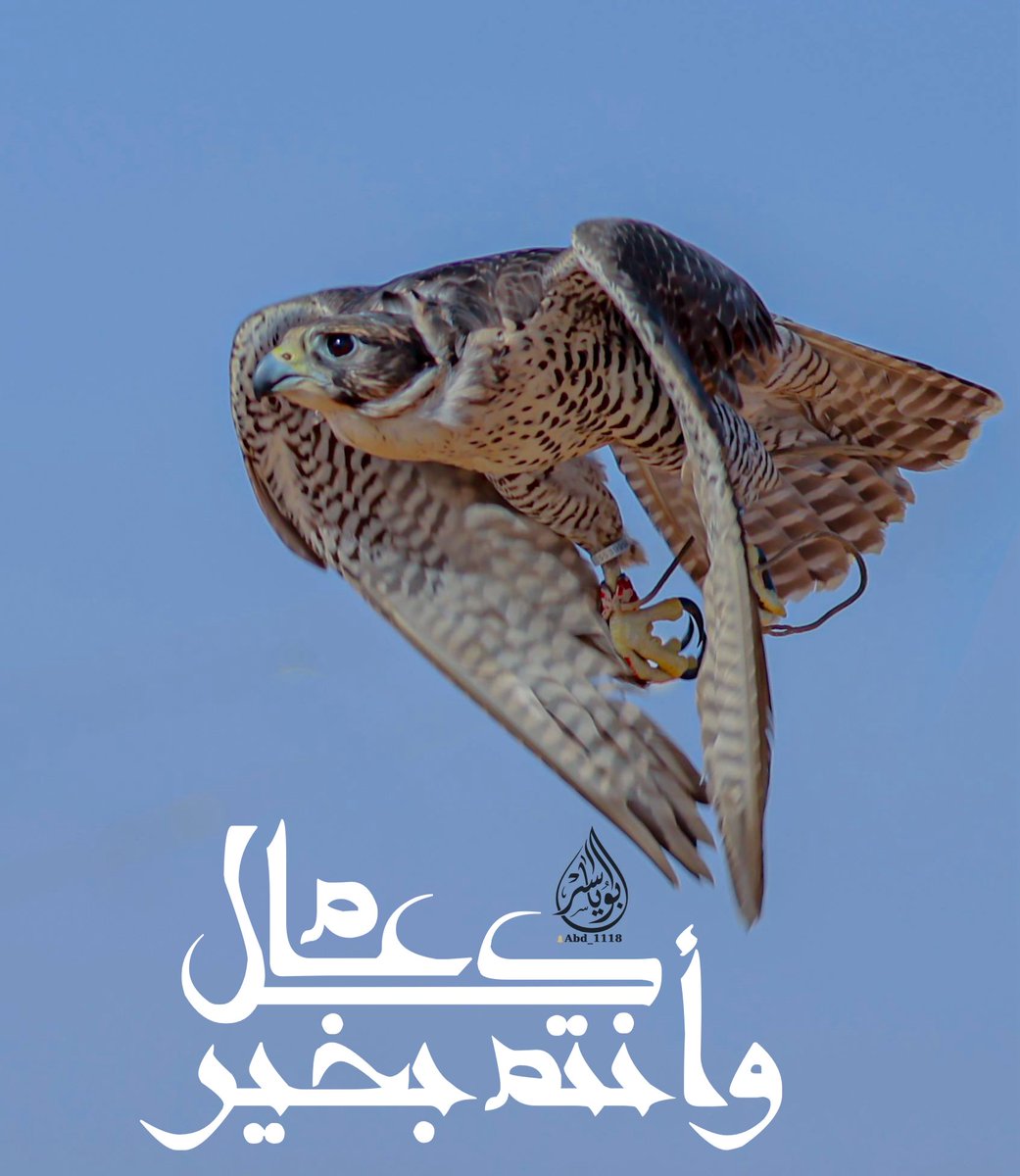 عبدالعزيز المسند tweet media