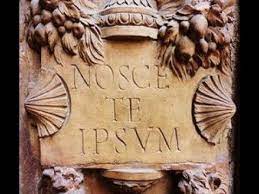 Pilar Alberdi tweet media