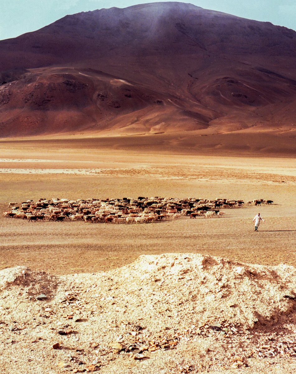 Composition tweet media