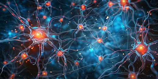 Night Sky Today tweet media