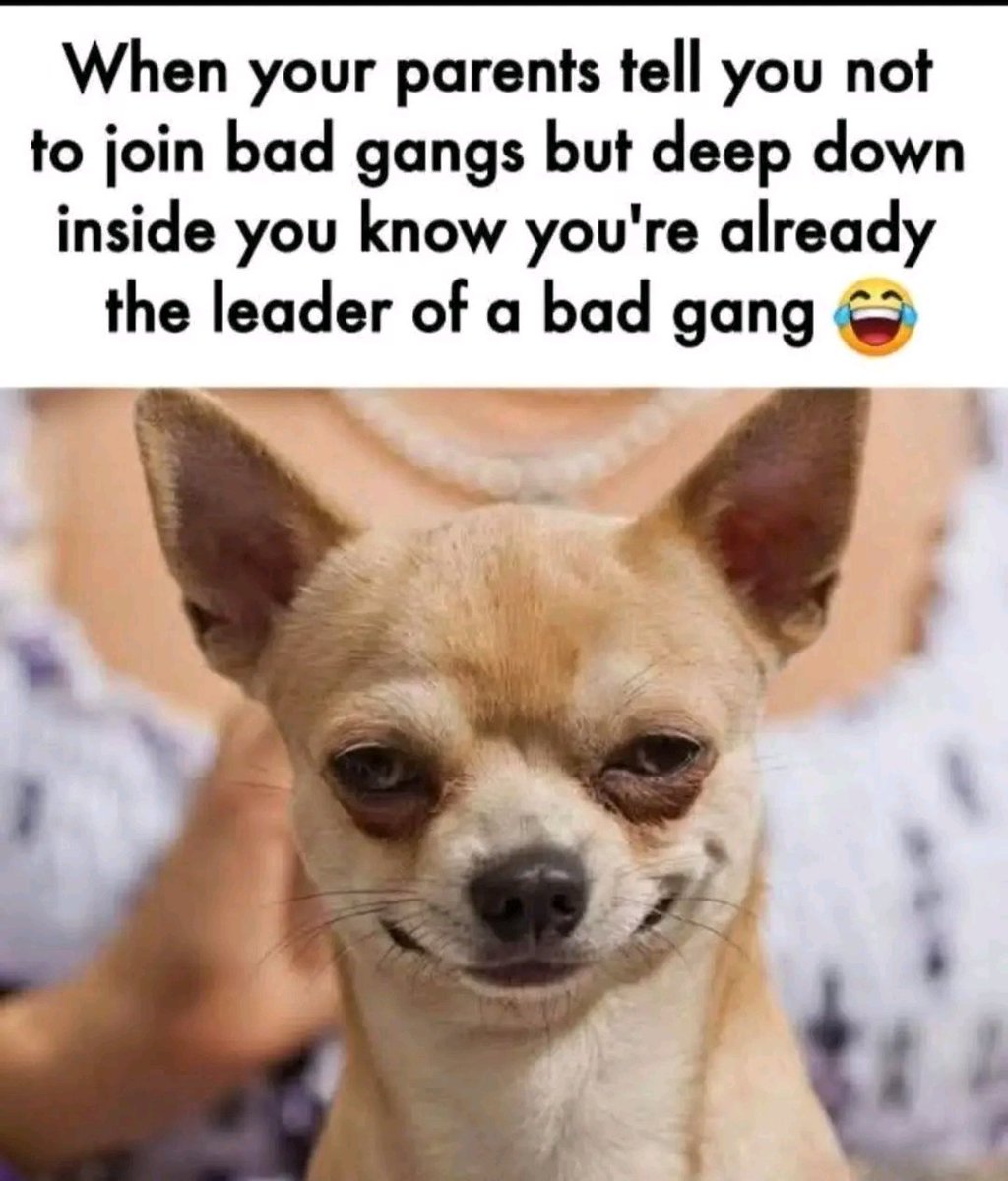 Algorithm (Olami 🇺🇸 🇳🇬 tweet media