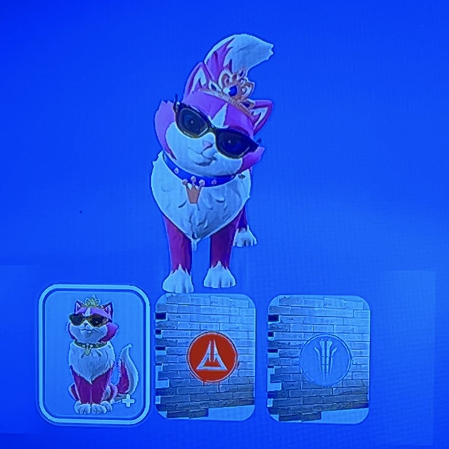 soph ౨ৎ 𑣿 tweet media