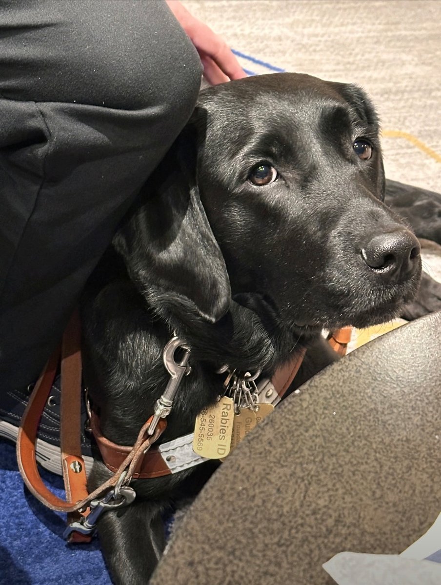 American Council of the Blind tweet media