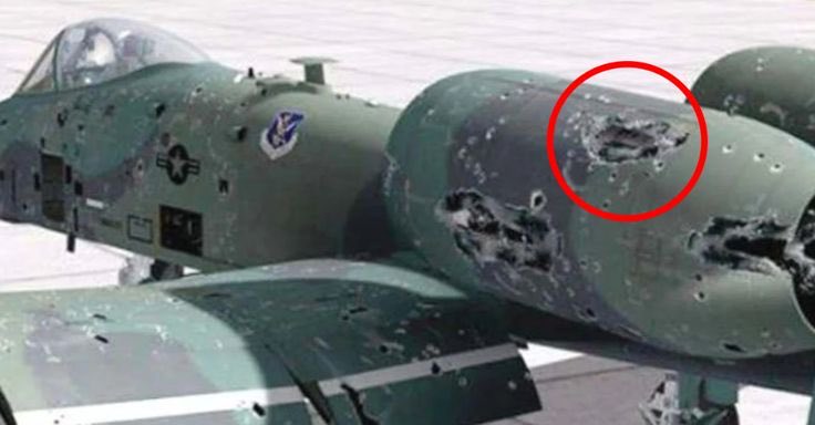 Maltese Patriot tweet media