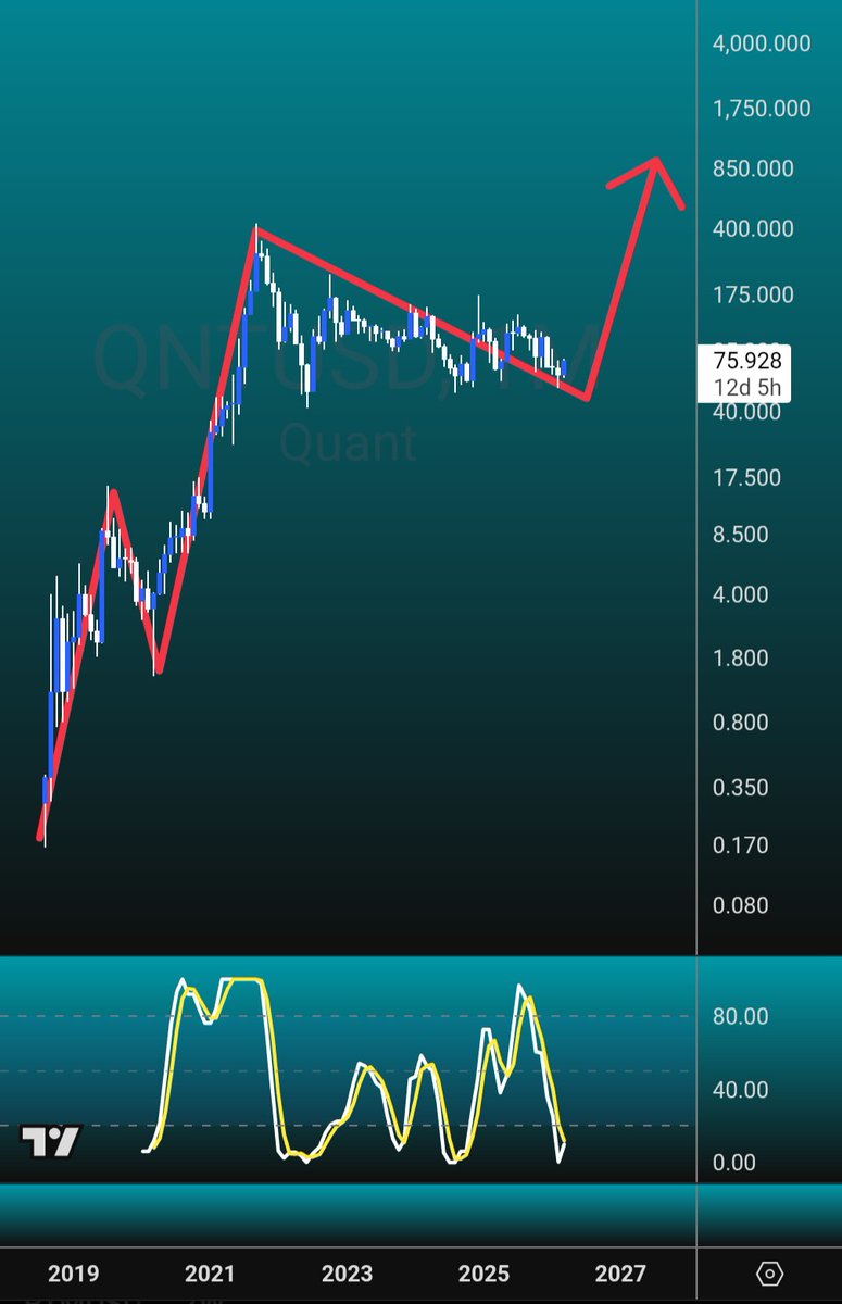 Dorkchicken tweet media