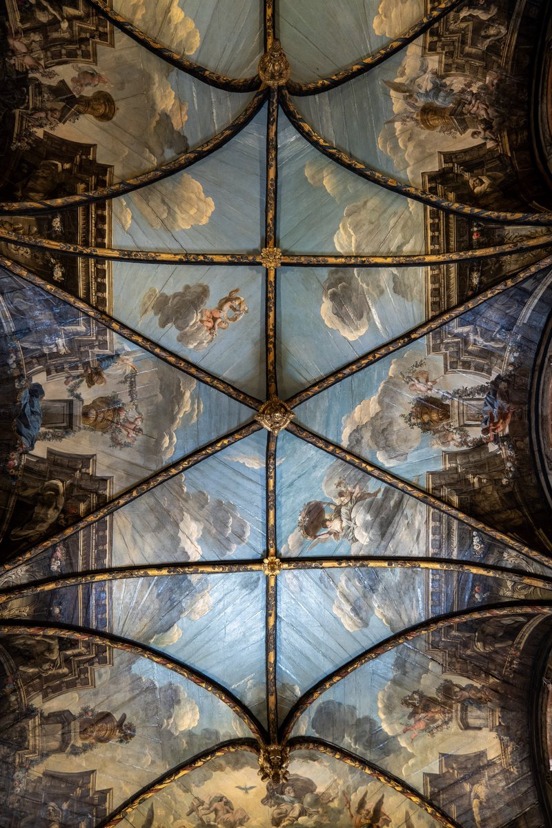 Raphael Barberi📷 tweet media