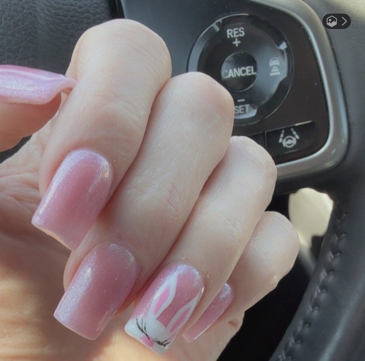 TslaGroupie tweet media