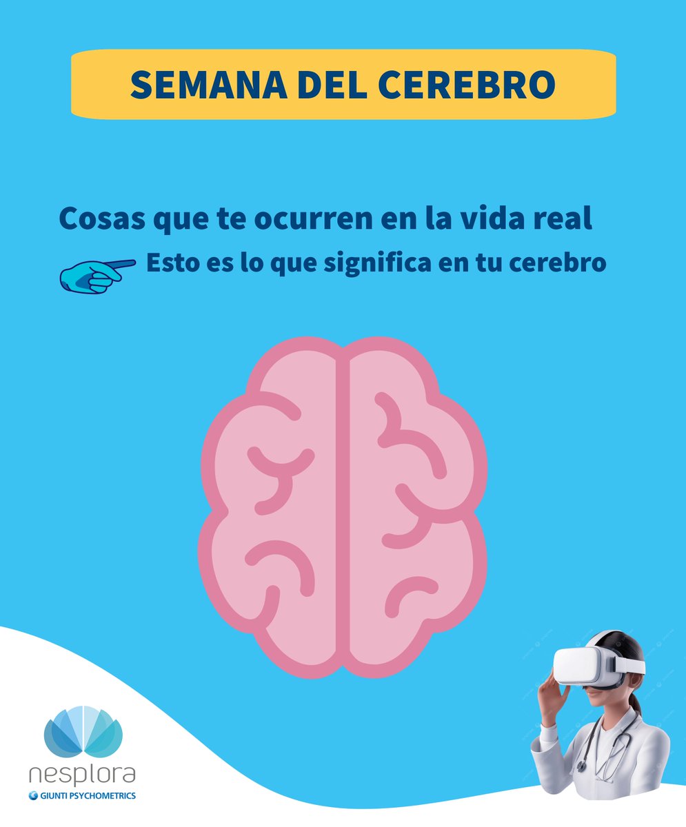 Nesplora tweet media