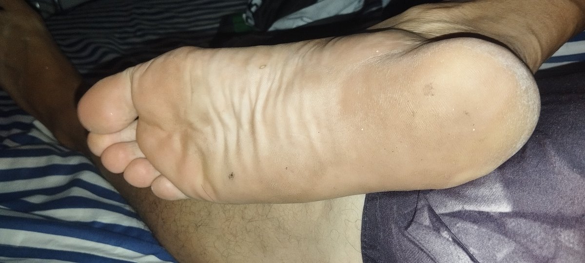 FINDON - PINTOR 👣 tweet media