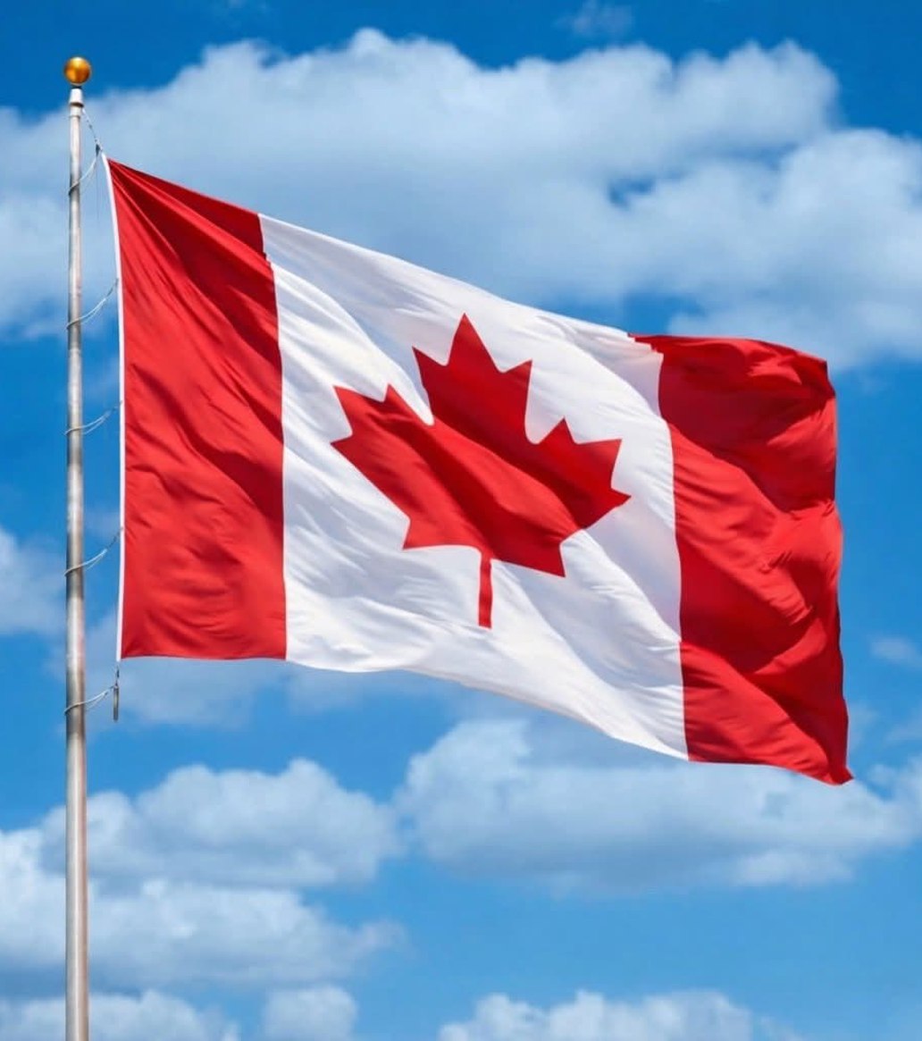 بريكس بالعربية tweet media