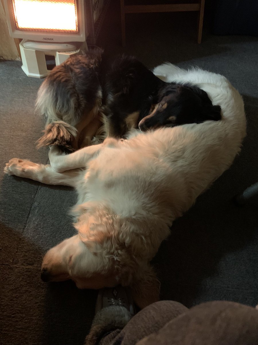 Carla Newfeld tweet media