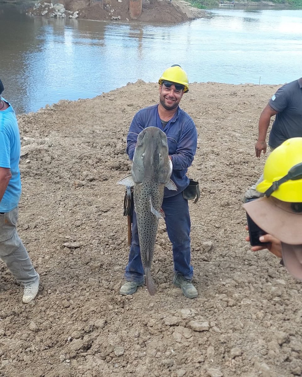 Humanos de Santa Fe tweet media