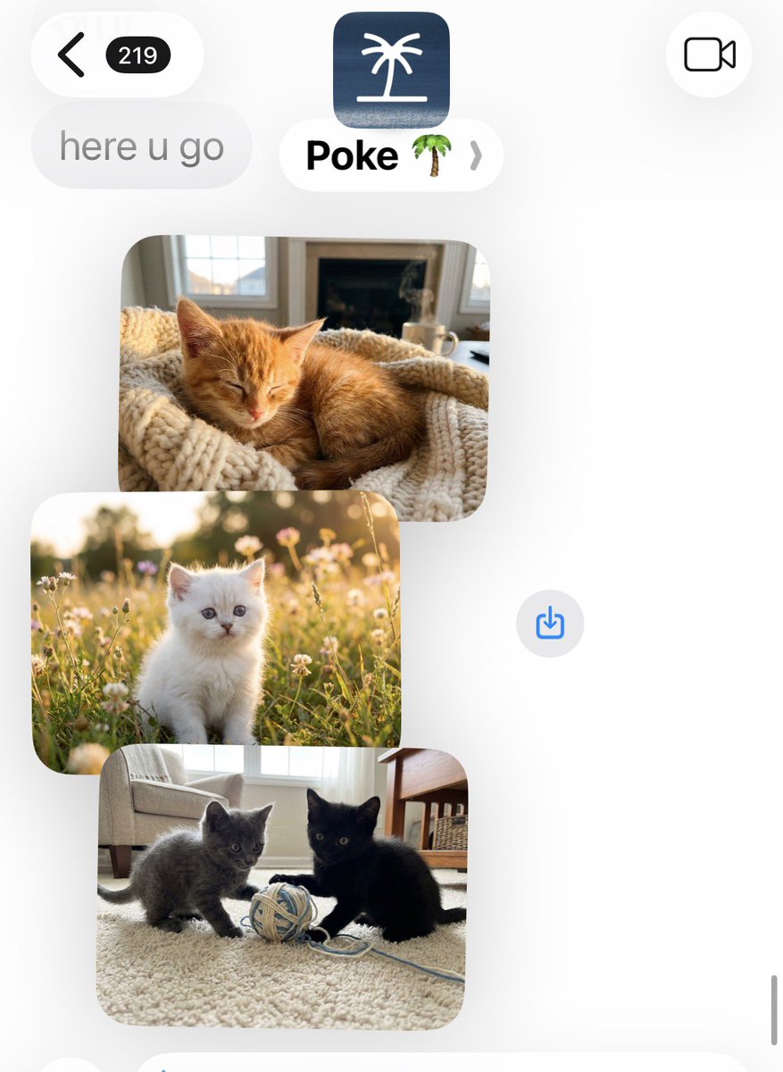 Aidan Guo tweet media