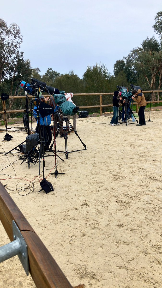 Franck Edard tweet media