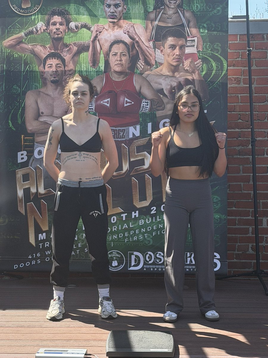 TimBoxeo tweet media