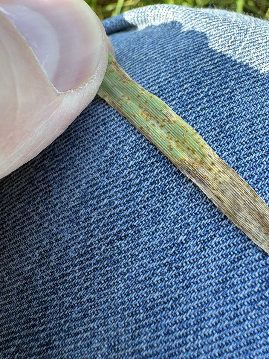 John Dunne tweet media