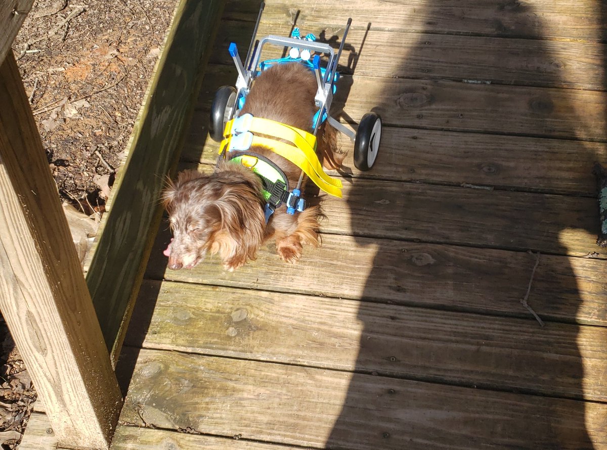 Lil Angel tweet media