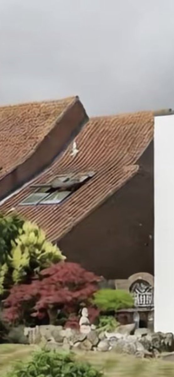 Mathias Arlund tweet media