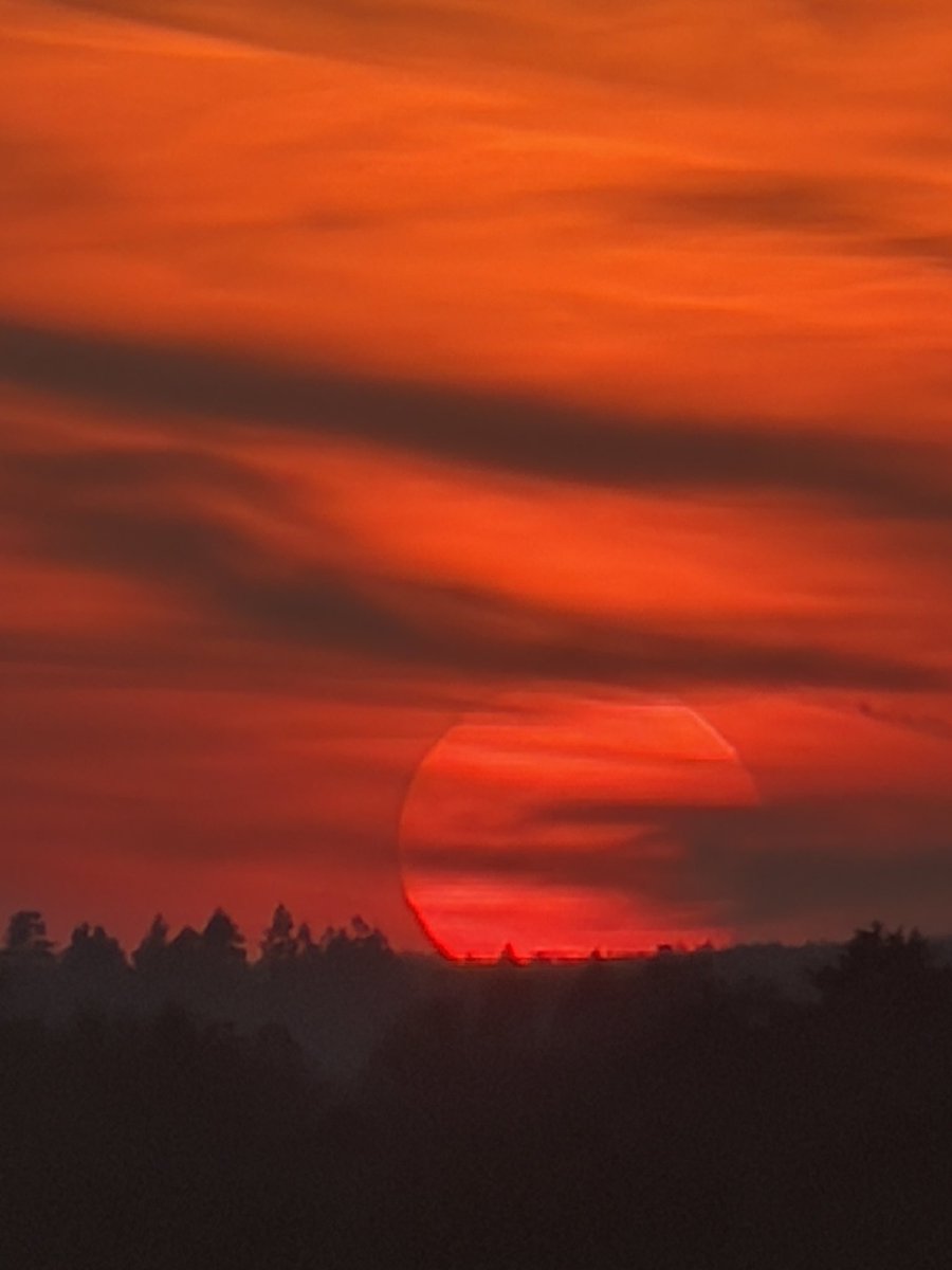 Hector Lencina tweet media