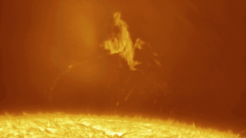 Digital Brain tweet media