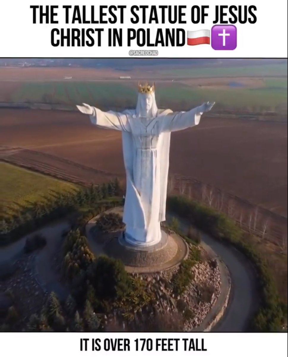 Labour Out tweet media