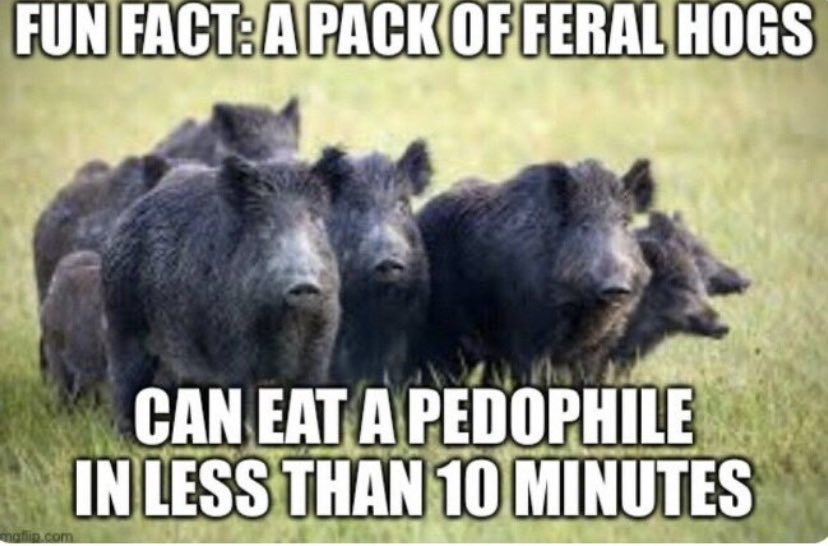 SaltyChef tweet media