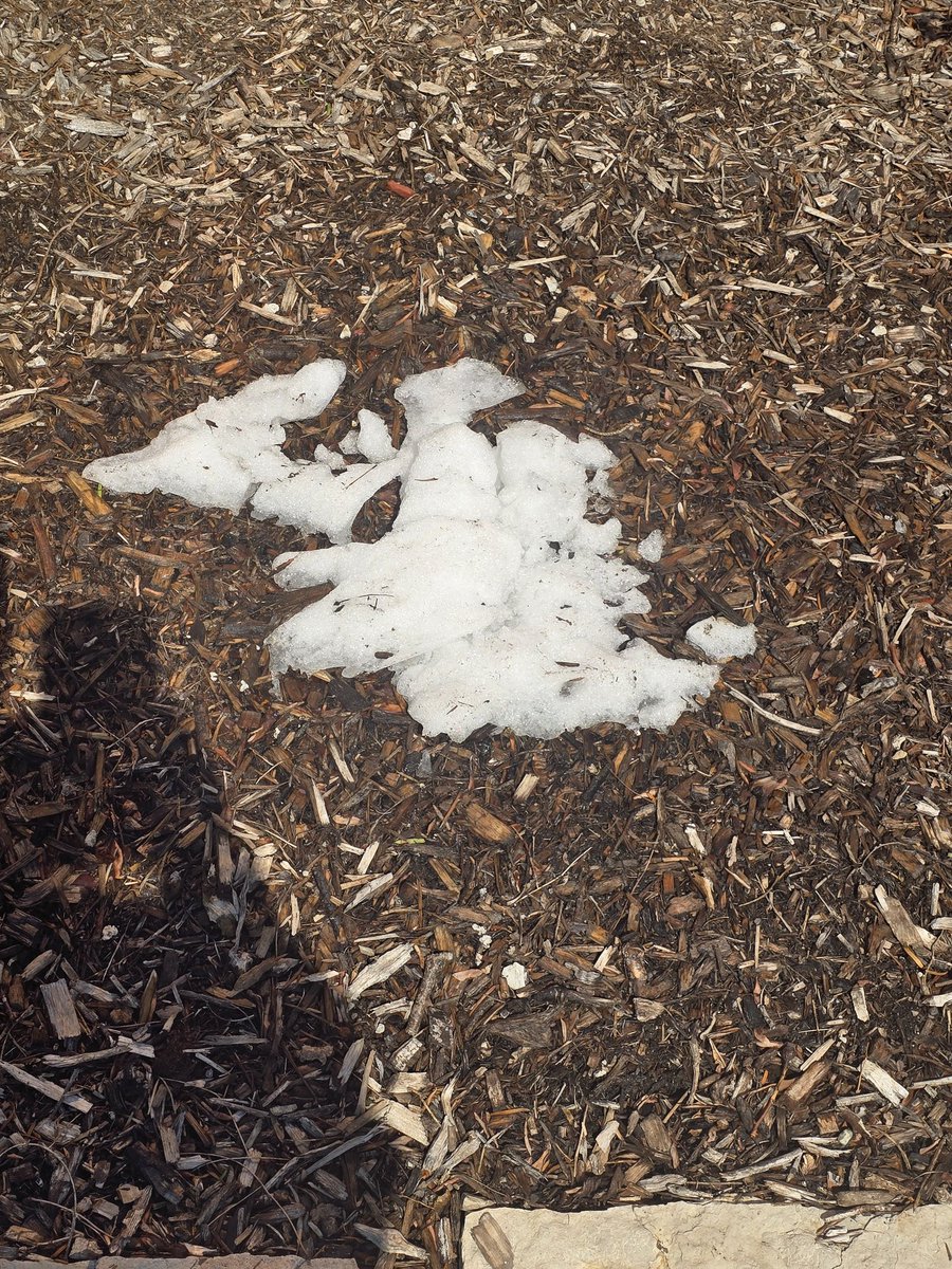 Vince Langman tweet media