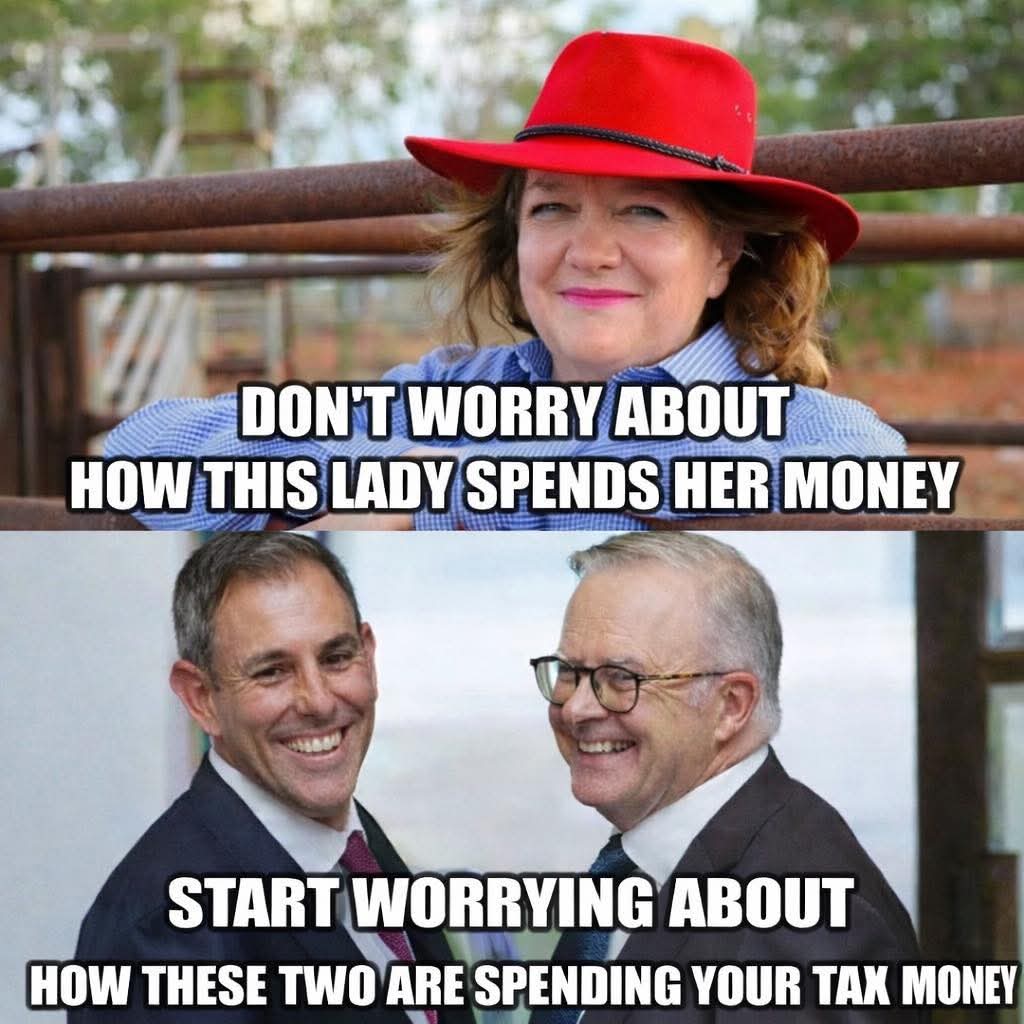 muffy kittens 🦘🇦🇺🌷🌍🦜🐕🐕 tweet media