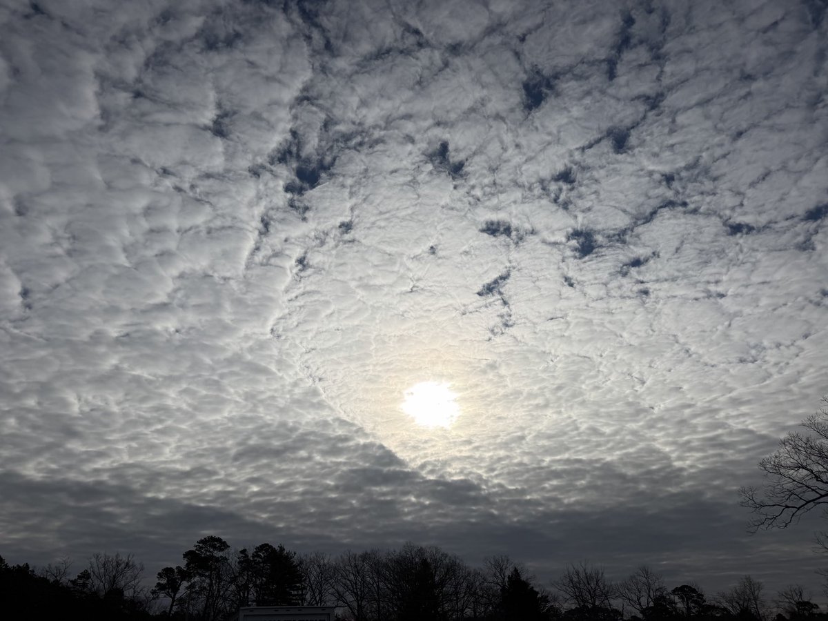 CarlaAB18 tweet media