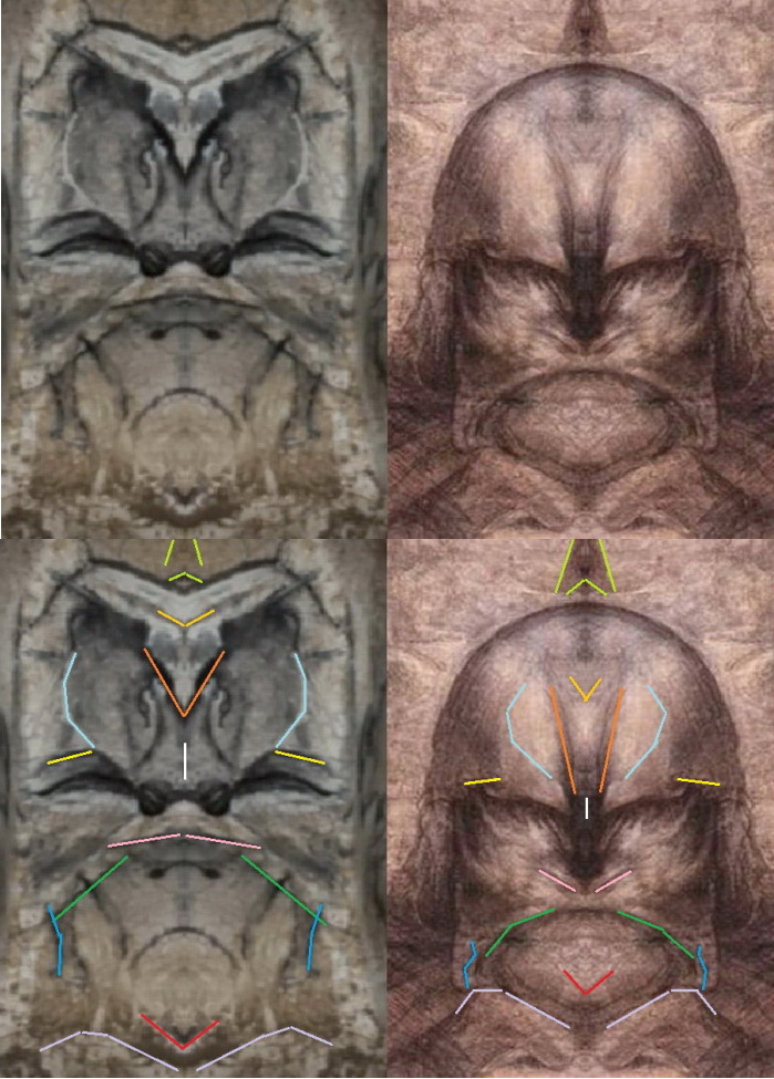 Truthspeaks.uk tweet media