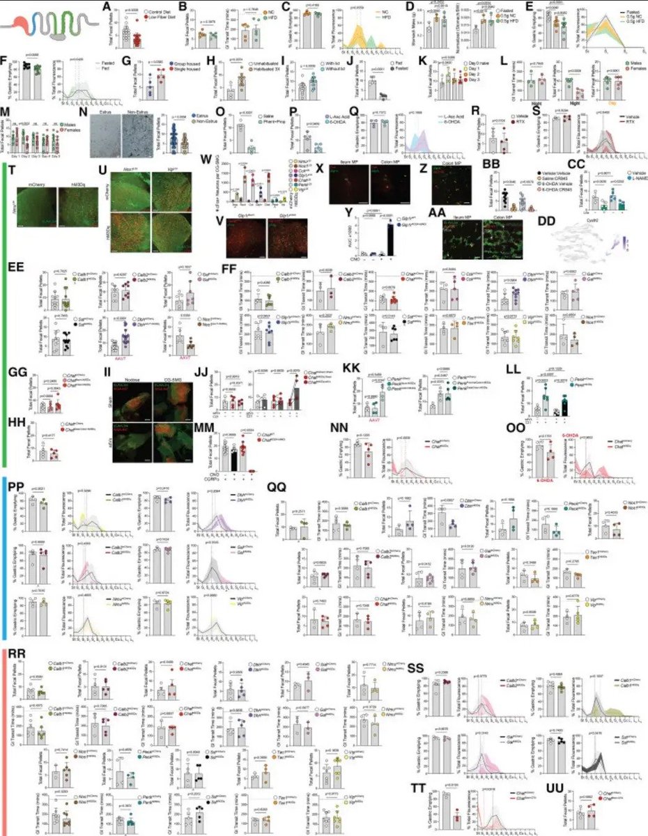 Banana Oncology tweet media