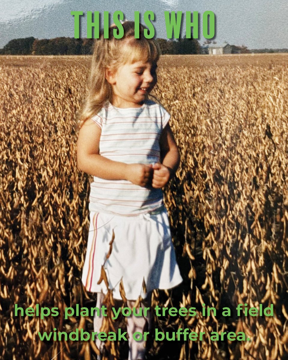 Ausable Bayfield tweet media