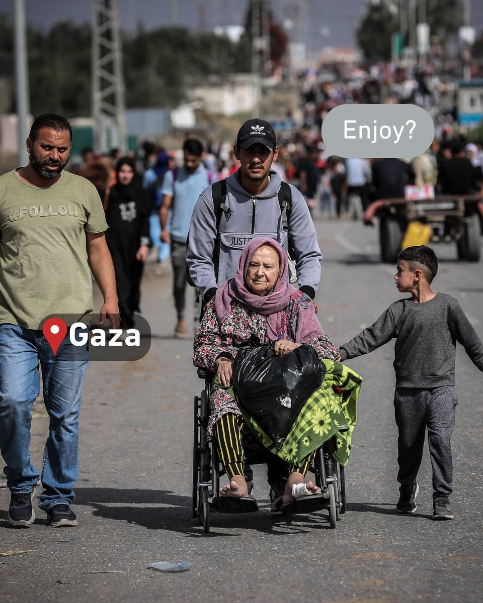 Human Appeal tweet media