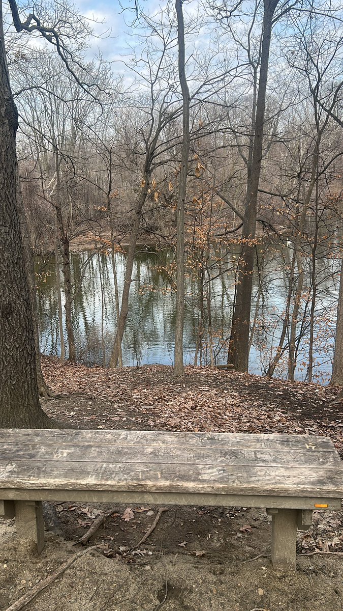 Lbozo007's tweet image. Good views at least. #turtlehead