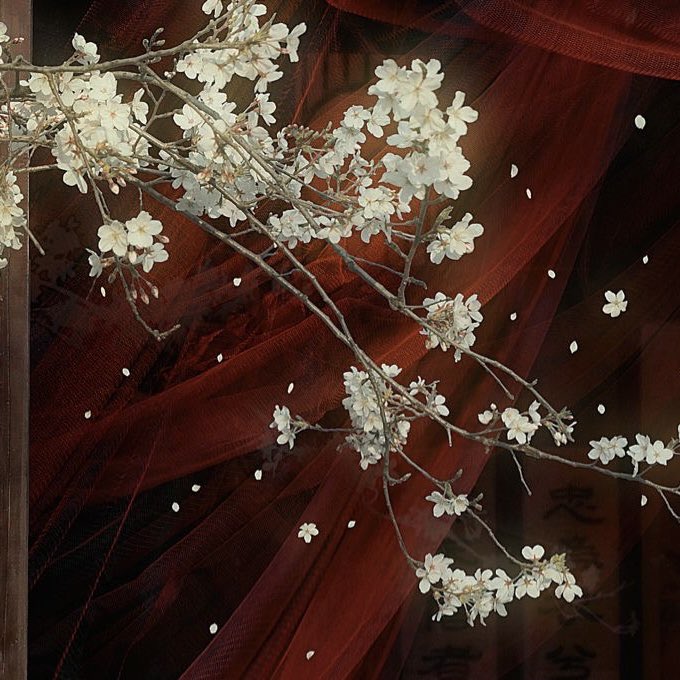 ˙∘ও┆kai ݁ ˖Ი𐑼⋆ . ꒱ scary len 𓏲ּ𝄢 partenogay tweet media