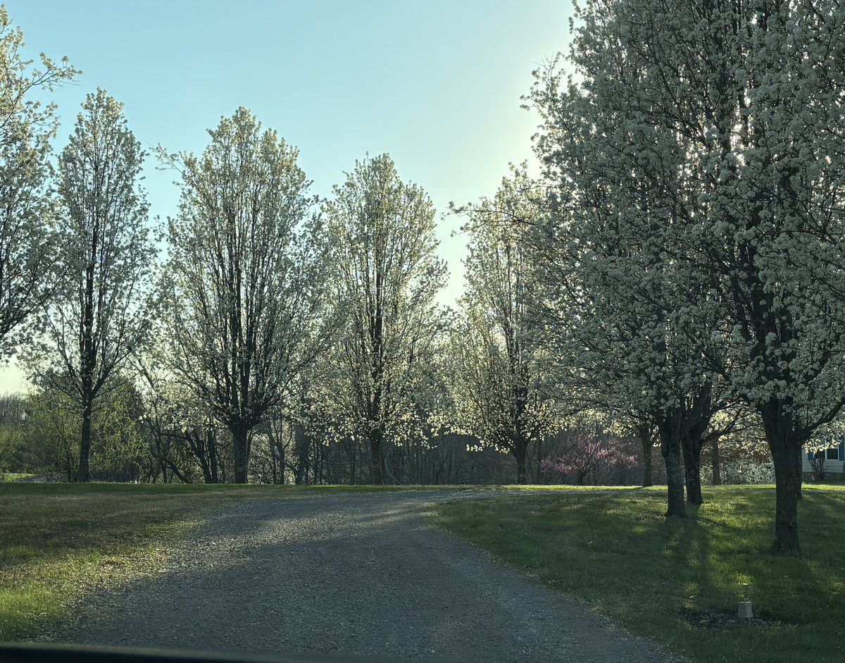 @BobbiSmith6 tweet media