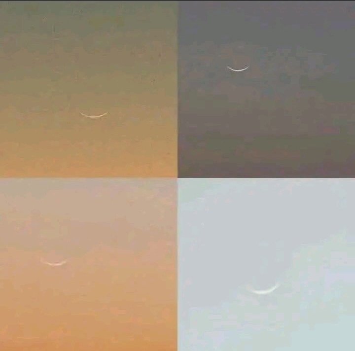 JM News Network tweet media