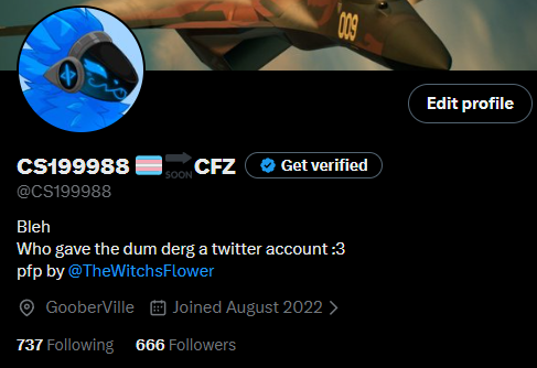 CS199988 🏳️⚧️🔜CFZ tweet media