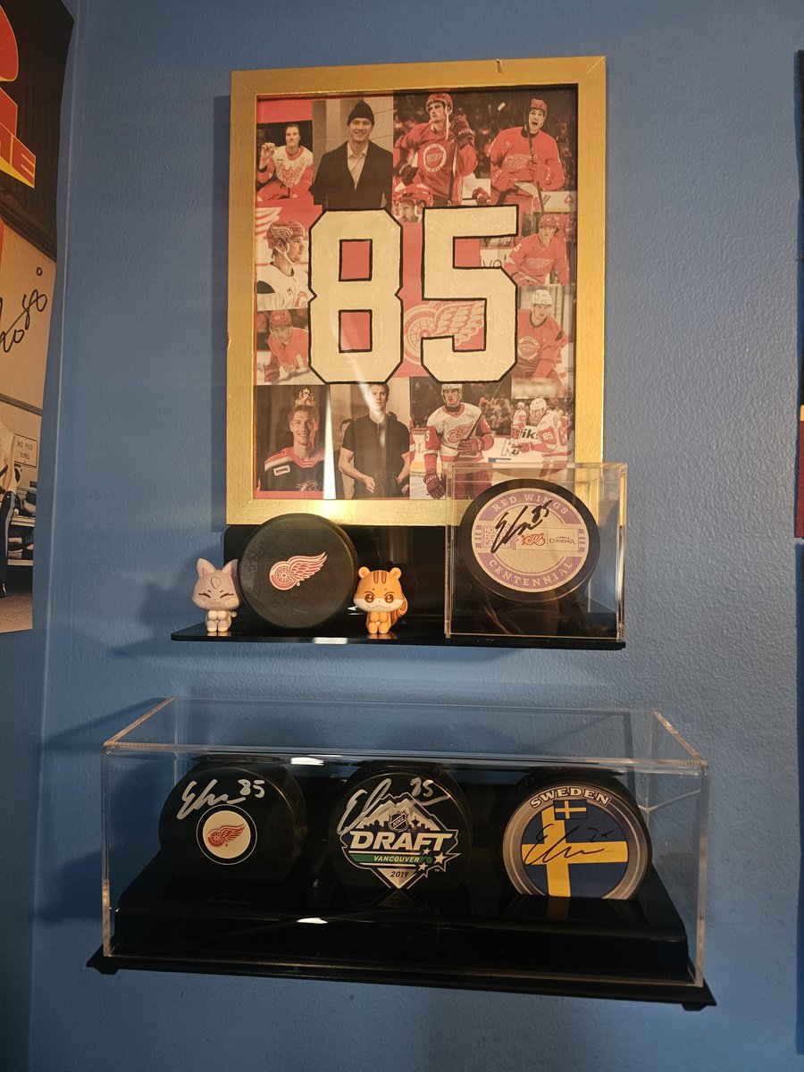 Shannon Brandon tweet media