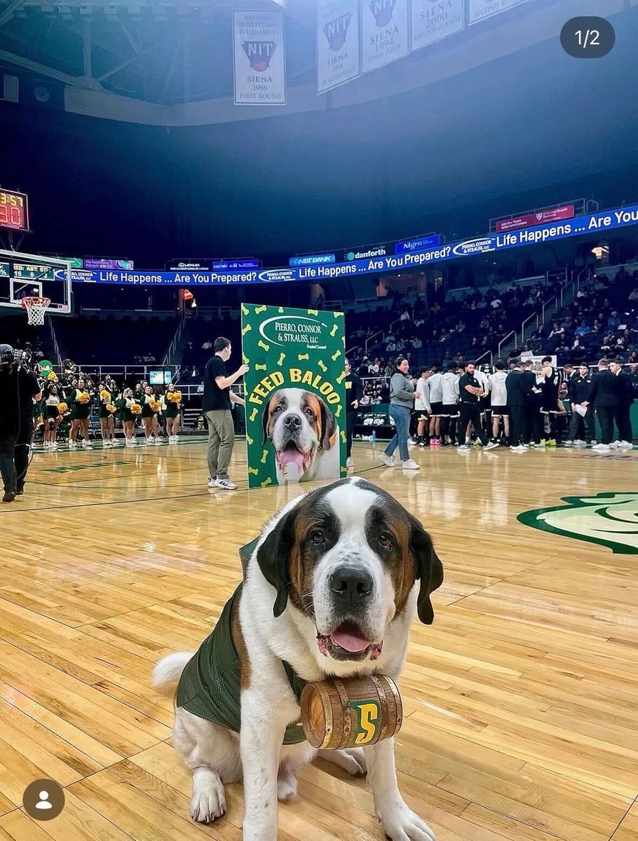 sterling cooper flagg 🇵🇸 tweet media