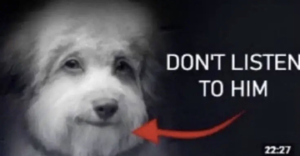 𝔇𝔍 ♱ tweet media