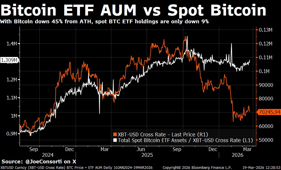 Joe Consorti tweet media