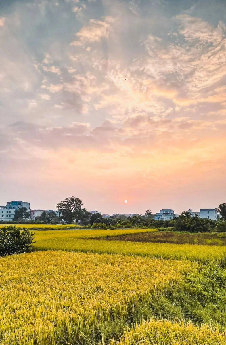 Владимир Клеменков tweet media