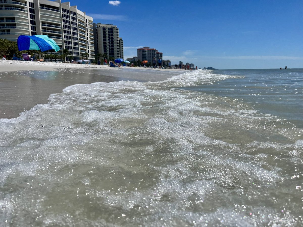 H. Tyler Seggerman tweet media