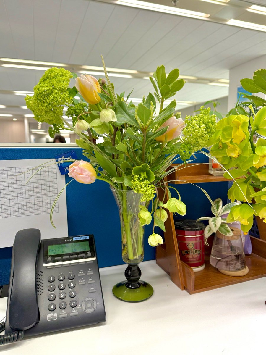 orly lopez tweet media