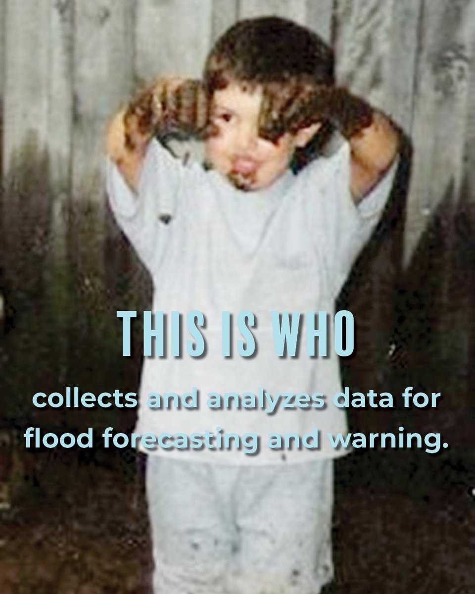 Ausable Bayfield tweet media