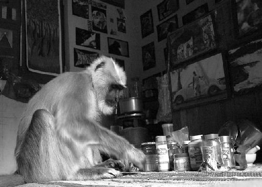 Planet X Aliens 🪐 tweet media